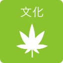 文化